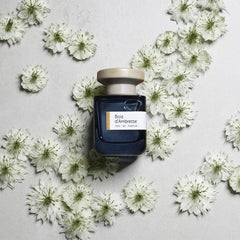 Bois d'Ambrette by Atelier Materi at Indigo  Cleveland