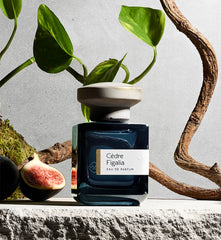 Cèdre Figalia by Atelier Materi at Indigo illustrated