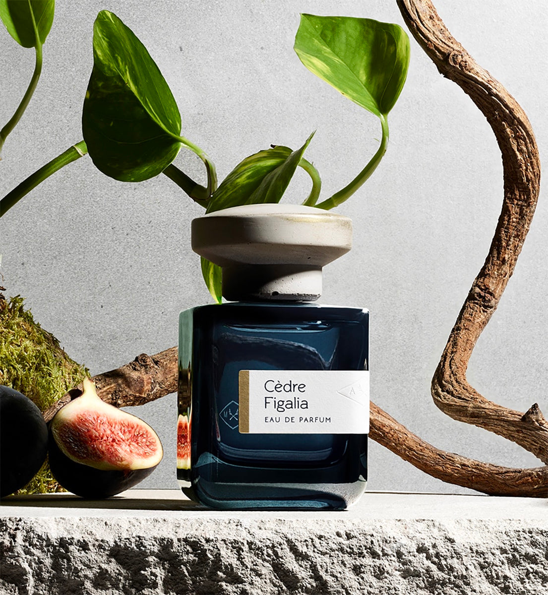 Cèdre Figalia by Atelier Materi at Indigo illustrated