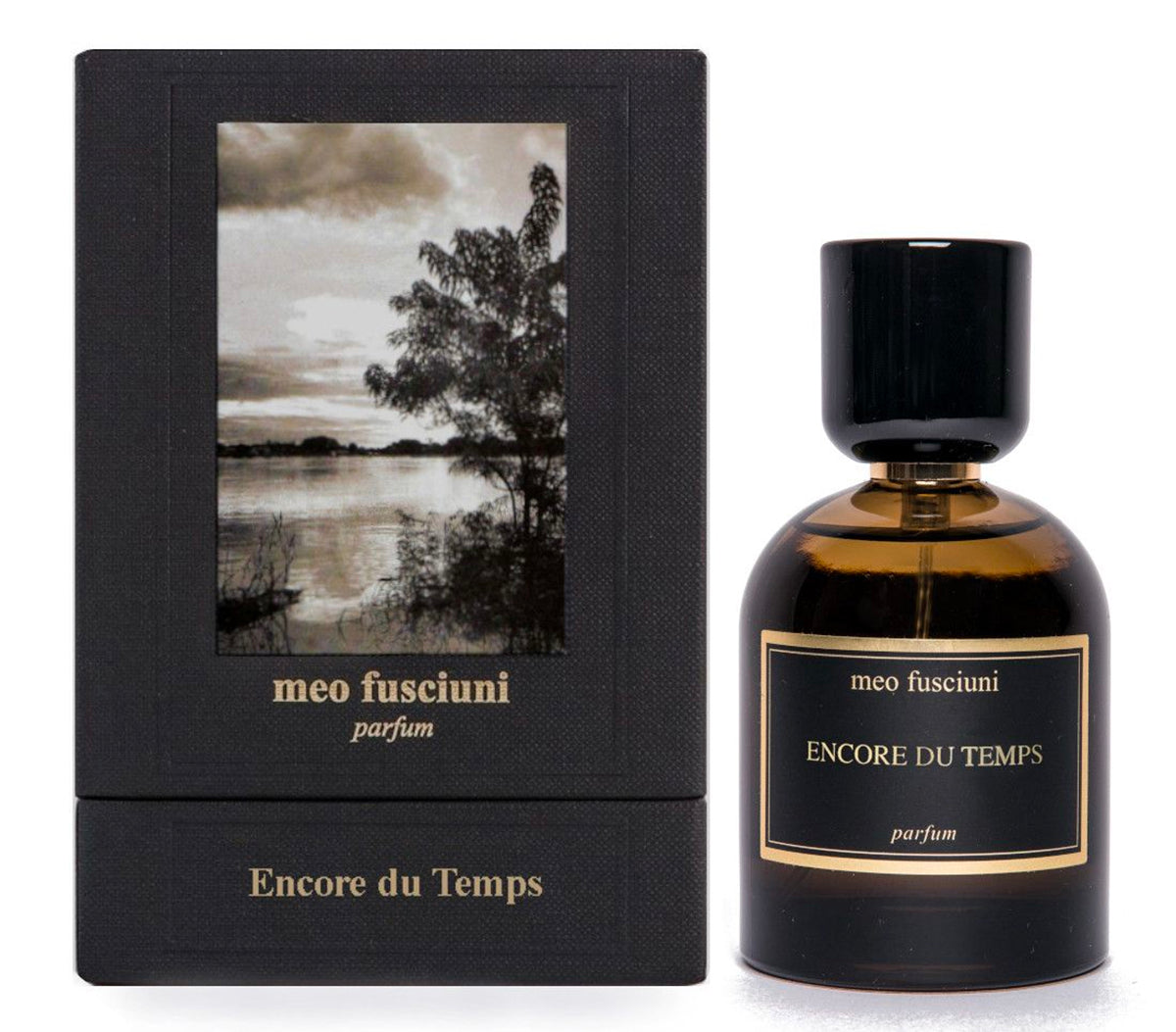 Encore du Temps by Meo Fusciuni at Indigo