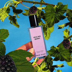 Healing Berry by Jorum Studio at Indigo